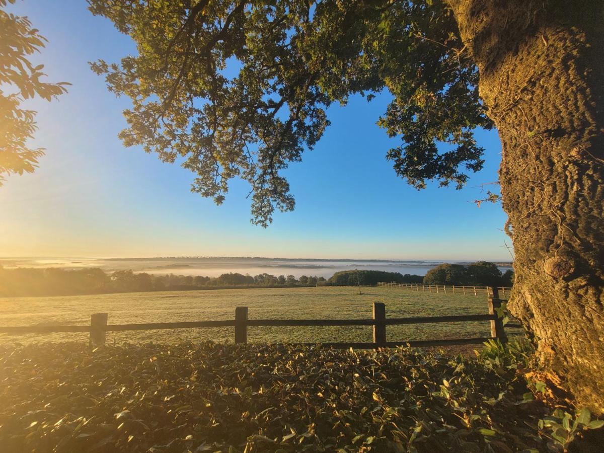 Le Cottage De La Doucette Paimpont Exteriér fotografie